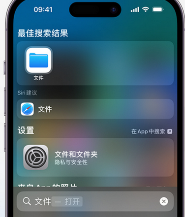 西林apple维修中心分享iPhone文件应用中存储和找到下载文件 