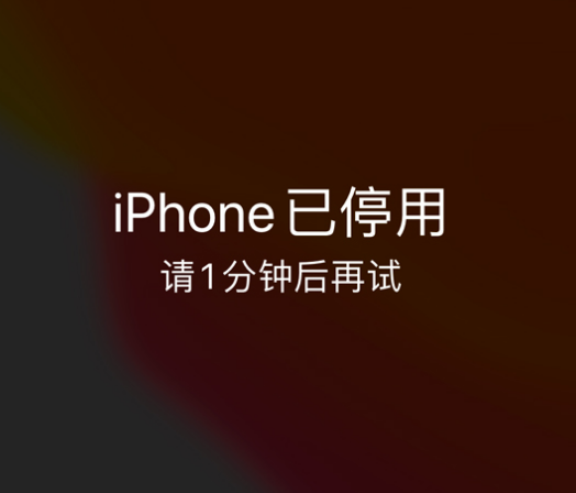 西林苹果手机维修分享:iPhone 显示“不可用”或“已停用”怎么办？还能保留数据吗？ 