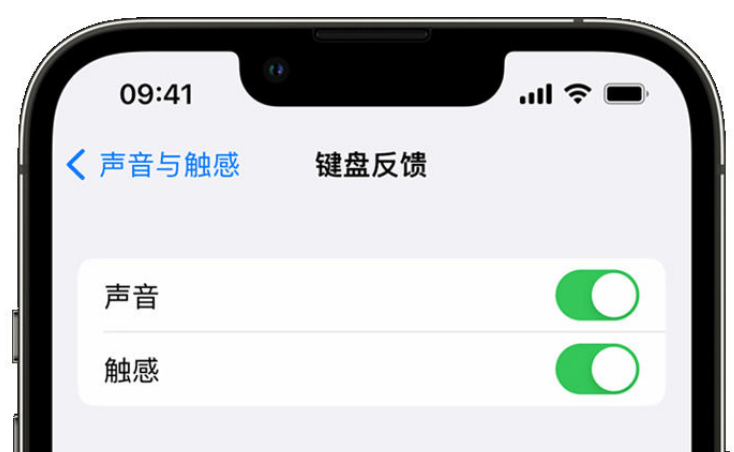 西林苹果手机维修分享iPhone 14触感键盘使用方法 