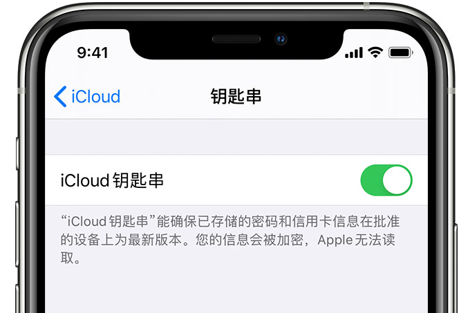 西林苹果手机维修分享在 iPhone 上开启 iCloud 钥匙串之后会储存哪些信息 